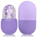 Purple Cooling Ice Facial Roller